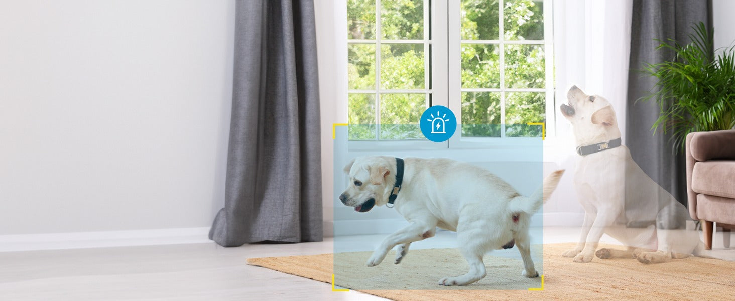 Automatisches Tracking